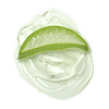 Aloe Barbadensis Leaf Juice