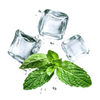 Menthol