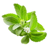 Stevia Rebaudiana Extract