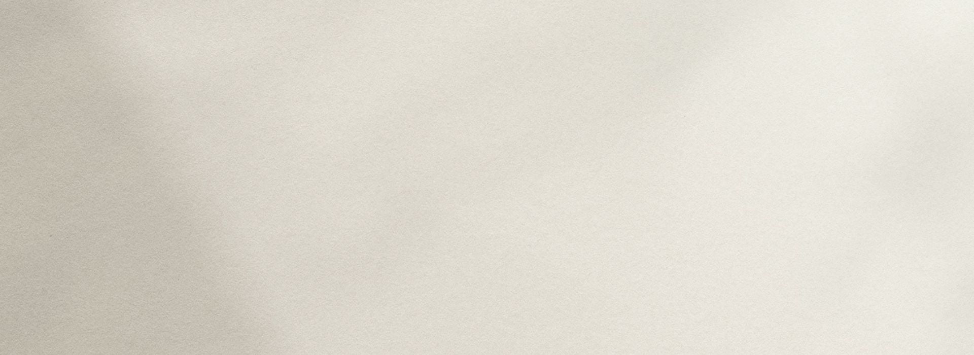 ZYE plain background