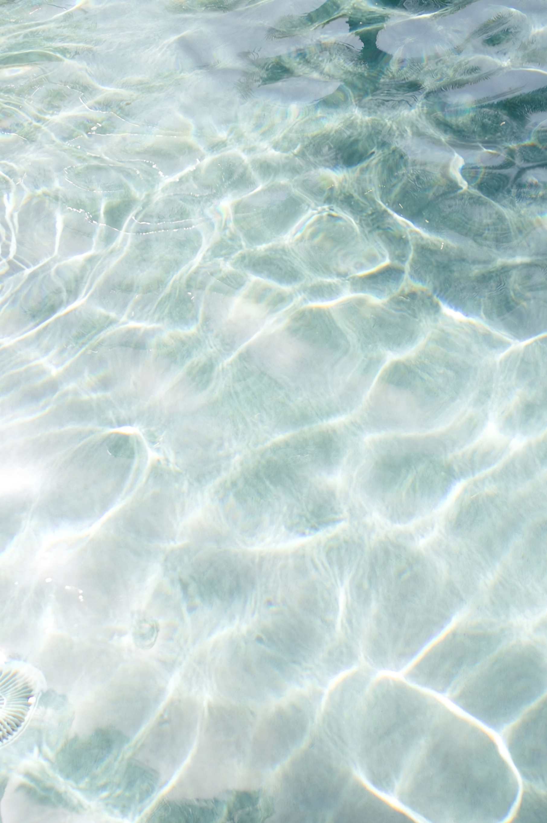 ZYE water background