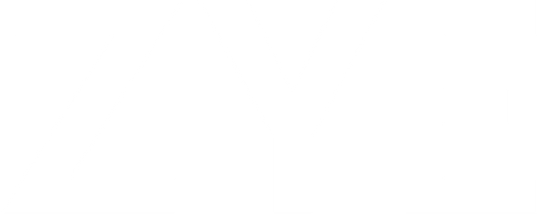 ZYE white big logo